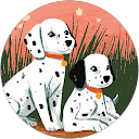 John Spilis profile picture